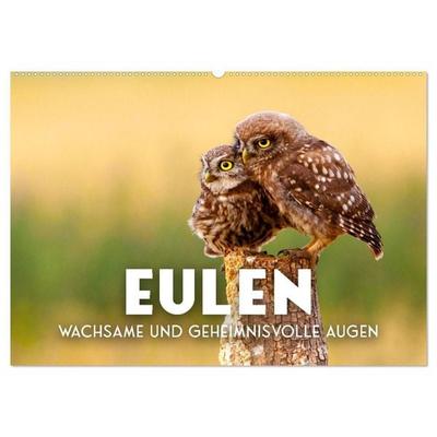 Eulen - Wachsame und geheimnisvolle Augen (Wandkalender 2027 DIN A2 quer), CALVENDO Monatskalender
