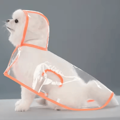 Inspire Picks Transparent Waterproof Dog Raincoat For Small & Large Dogs (XS8XL) orange xsold