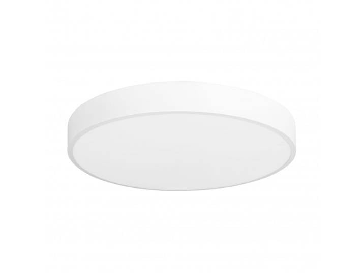 Plafonnier d'extérieur LED Lumière Neutre 4000K Blanc Acier 60cm