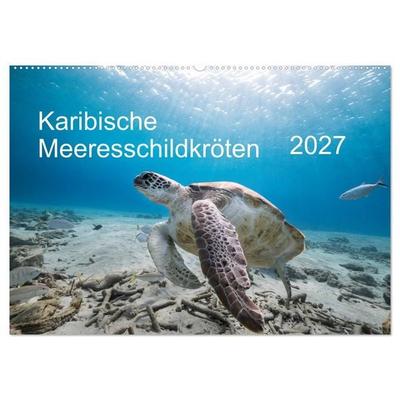 Karibische Meeresschildkröten (Wandkalender 2027 DIN A2 quer), CALVENDO Monatskalender