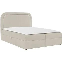 BOXBETT Bonito - H3