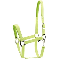 Horse Guard Nylonhalfter für Pferde - lime - Kaltblut