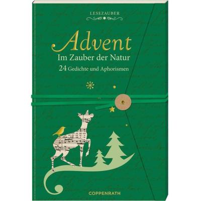 Brief-Adventskalenderbuch – Advent im Zauber der Natur