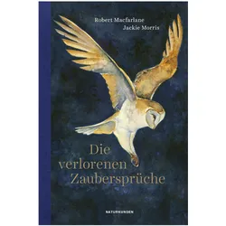 Die verlorenen Zaubersprüche, Kinderbücher von Robert Macfarlane, Daniela Seel, Jackie Morris