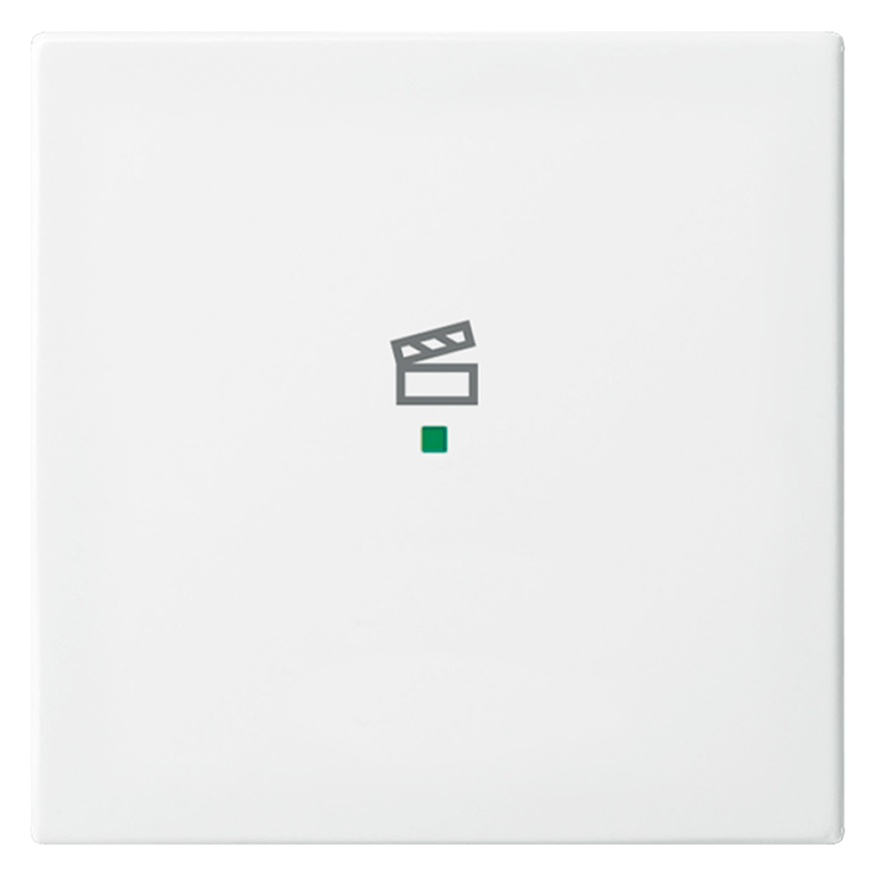 Busch-Jaeger Wippe (2CKA006220A0358)