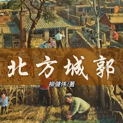 北方城郭 - 柳建伟, Audio, 4099995968712
