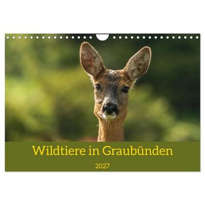Wildtiere in Graubünden (Wandkalender 2027 DIN A4 quer), CALVENDO Monatskalender