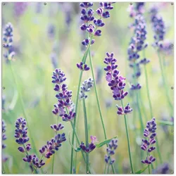 Wallario Gartenposter ca. 60 x 90 cm Lila Blumenfreude - Violette Pflanzen auf der Wiese