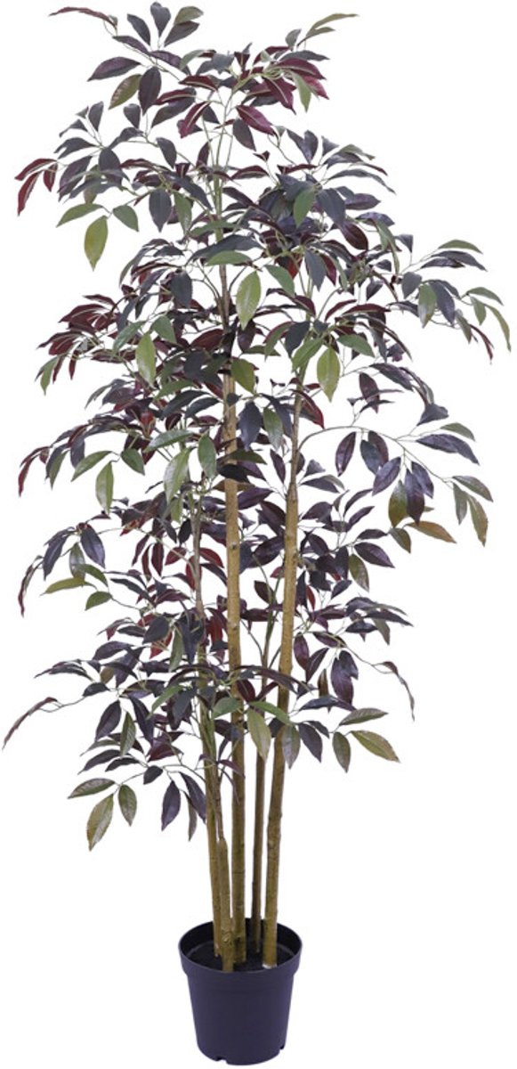 Kunstboom Crenata real touch 200 cm