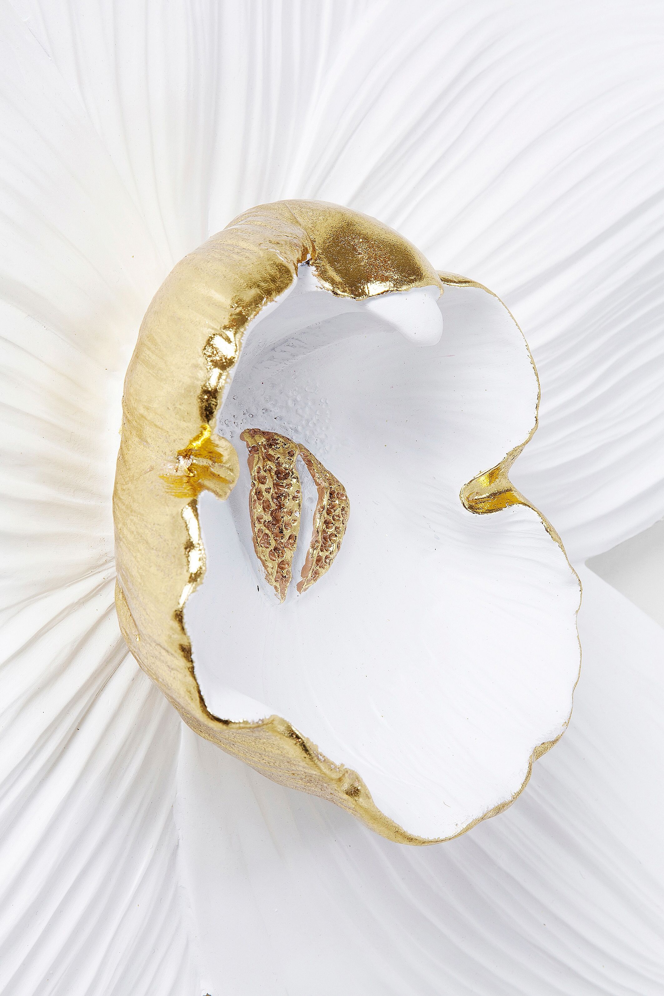 Wanddekoobjekt KARE DESIGN "Wandschmuck Orchid Weiss 54cm", weiss (weiß), B:51,2cm H:54,2cm T:14,5cm, Polyresin, Wanddekoobjekte, Wanddekoobjekt weiß B/H/T: 51,2cm x 54,2cm x 14,5cm