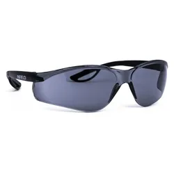 Schutzbrille "RAPTOR"