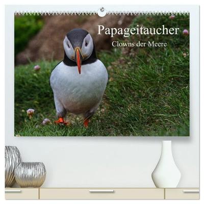 Papageitaucher Clowns der Meere (hochwertiger Premium Wandkalender 2027 DIN A2 quer), Kunstdruck in Hochglanz