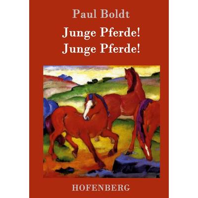 Junge Pferde! Junge Pferde!, Gebundene Ausgabe von Paul Boldt, Hofenberg, 978-3-86199-412-1