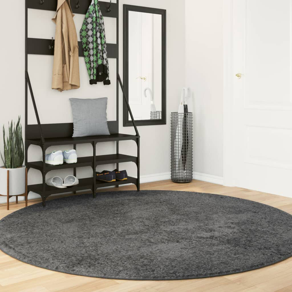 Brayden Studio Studio Rug Short Pile Anthracite Round 200cm