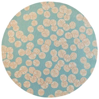 Liora Manne Lush Decor Capri Sea Biscuit Indoor/Outdoor Area Rug