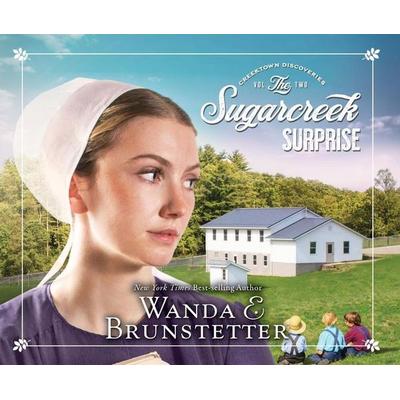 Sugarcreek Surprise, 2 - Wanda E. Brunstetter, CD, 9781640917583