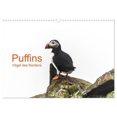 Puffins - Vögel des Nordens (Wandkalender 2027 DIN A3 quer), CALVENDO Monatskalender