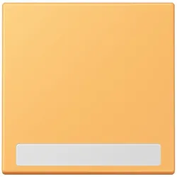 Jung Wippe 1fach m. Schriftfeld LC 990 NA 254