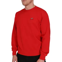 Fruit of the Loom Fruit of the Loom Sweatshirt mit kleinem Vintage-Logo, rot, S