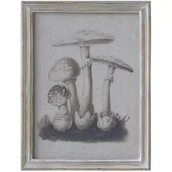 Chic Antique Wandbild mit Pilzmotiv und Naturholzrahmen, Motiv 2