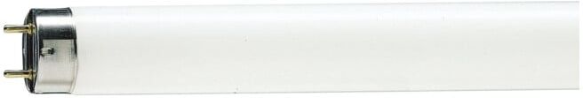 Philips Lampe fluorescente TL-D FOOD 36W 79 G13 26 mm (70622540)