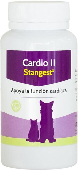 Stangest Cardio II Carnitine 60 Caps