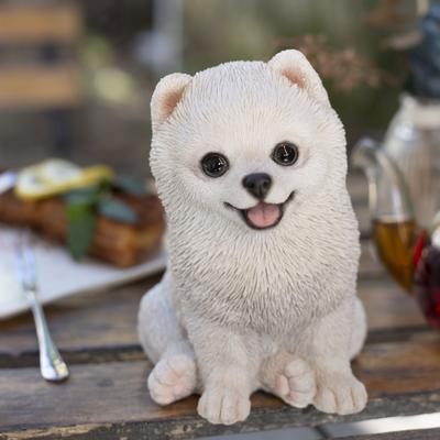 Hi-Line SoReal White Pomeranian