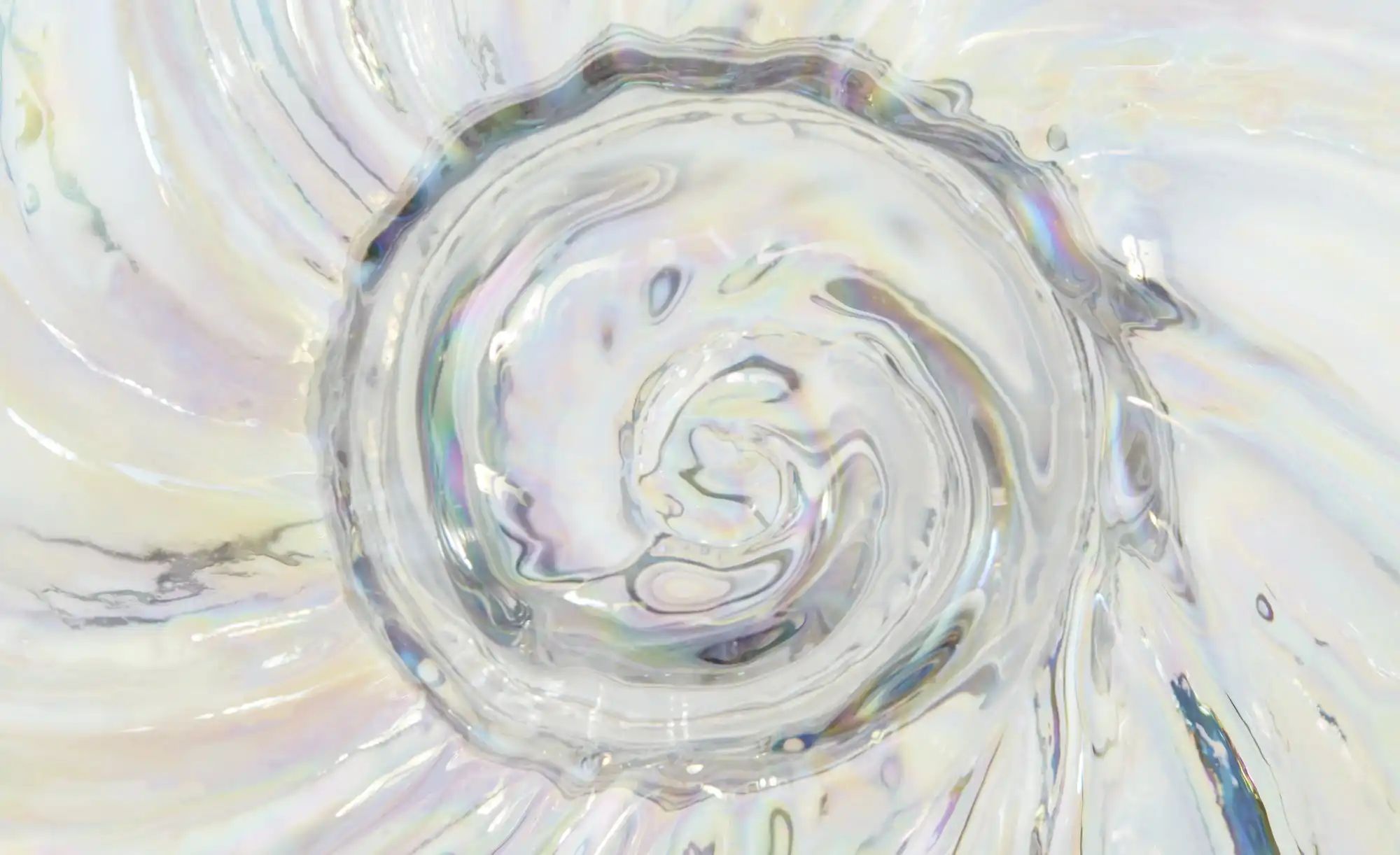 Höffner Vase Muschel   ¦ transparent/klar ¦ Glas ¦ Maße (cm): B: 28 H: 23,5