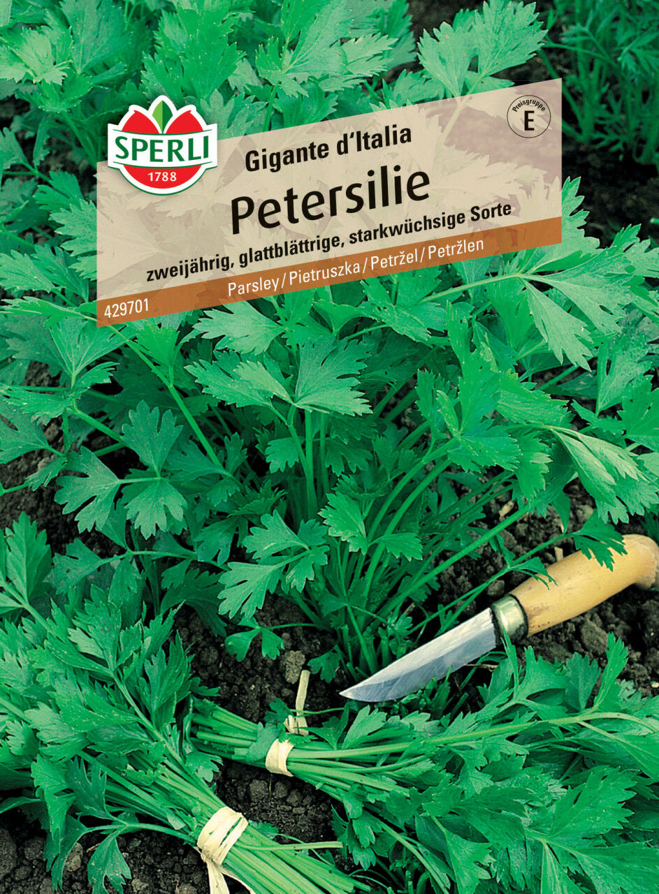 Sperli Petersilie Gigante d'Italia