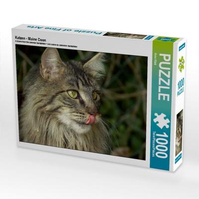 CALVENDO Puzzle Katzen - Maine Coon | 1000 Teile Lege-Größe 64x48cm Foto-Puzzle für glückliche Stunden