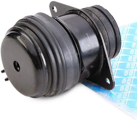 REINHOCH RH11-0107 Engine mount