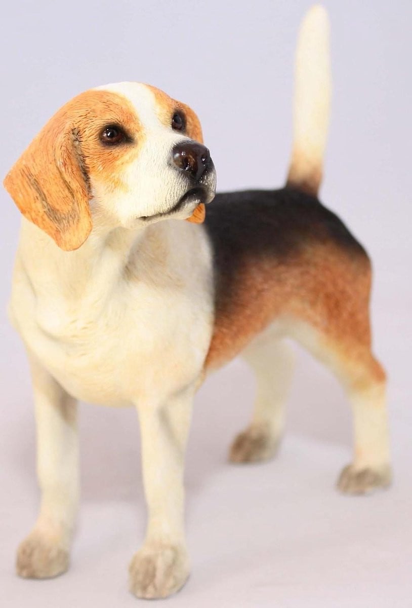 Honden Ornament Beagle Figuur Bruin - Hoogte: 13 cm