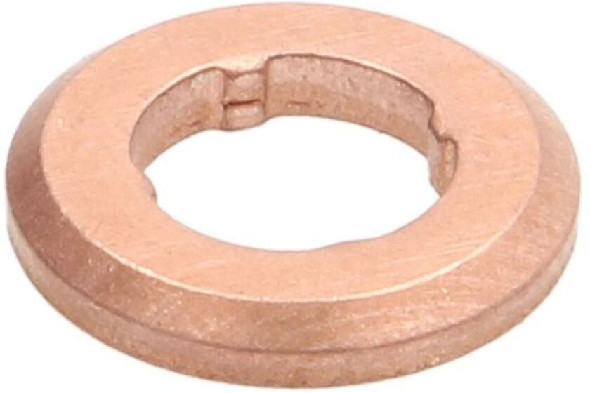 Dichtring, Düsenschacht BOSCH F 00V P01 009