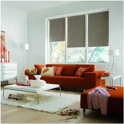 Büscher Sunlines Seitenzug-Rollo mit Lichtschutz mehrfarbig, 82x180 cm