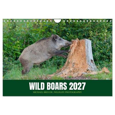 Wild Boars (Wall Calendar 2027 DIN A4 landscape), CALVENDO 12 Month Wall Calendar