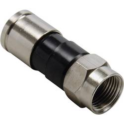 BKL Electronic 0403148 F-Stecker Kompression Anschlüsse: F-Stecker Kabel-Durchmesser: 7.4 mm 1 St.