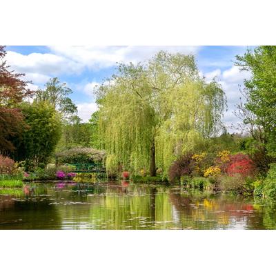 Papermoon "Monets Garten"