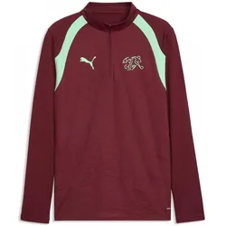 Puma, Herren, Sportshirt, SFV Training 1/4 Zip Top (S), Rot
