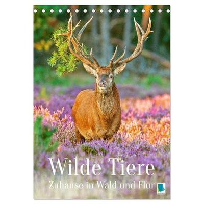 Wilde Tiere: Zuhause in Wald und Flur (Tischkalender 2027 DIN A5 hoch), CALVENDO Monatskalender