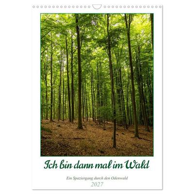 Ich bin dann mal im Wald (Wandkalender 2027 DIN A3 hoch), CALVENDO Monatskalender