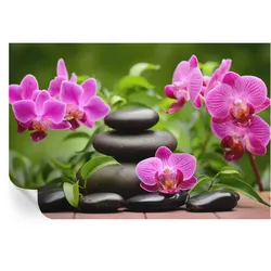 FOTOTAPETE 104x70 cm - Orchideensteine