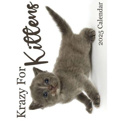 Krazy For Kittens 2025 Calendar, Taschenbuch von B. Patrick, Baldega Books, 978-1-959209-32-4