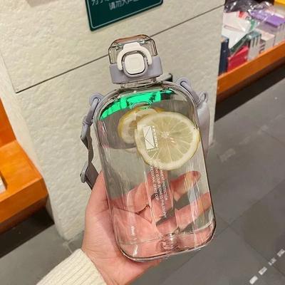 Uplift Picks 750 ML Flat Water Bottle With Time Marker Leakproof Portable Sports Bottle gray 750 Ml