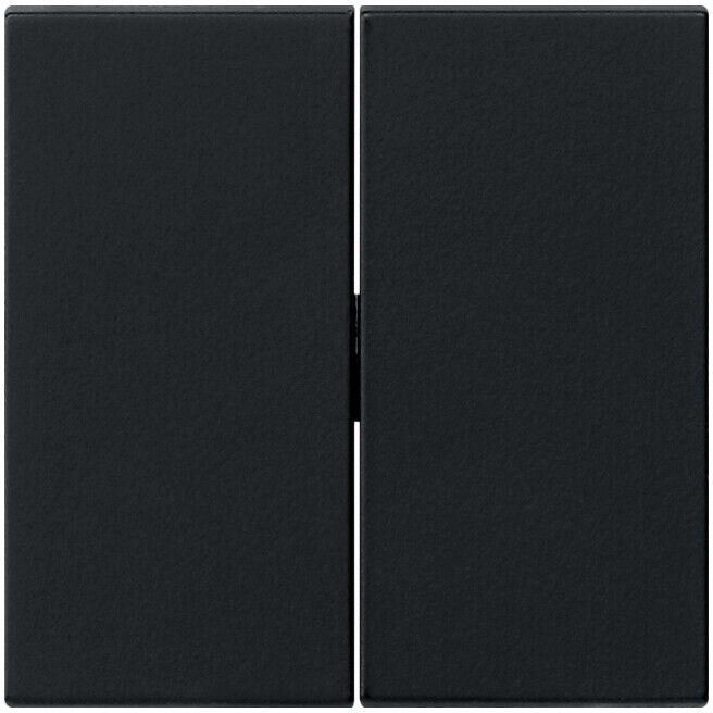 Gira Interrupteur bascule 2p. noir 0295005 (0295005)