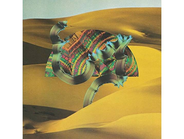 Django Django - Django Django