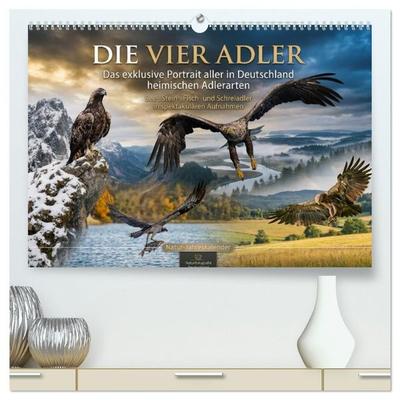 Die vier Adler - Das exklusive Portrait aller in Deutschland heimischen Adler (hochwertiger Premium Wandkalender 2027 DIN A2 quer), Kunstdruck in