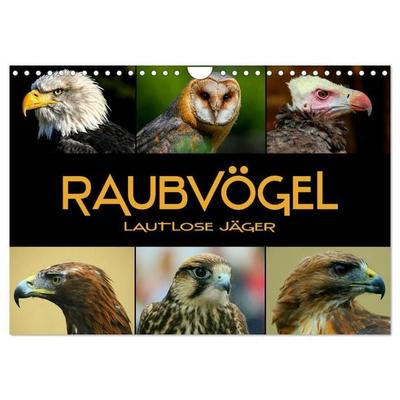 Raubvögel - lautlose Jäger (Wandkalender 2027 DIN A4 quer), CALVENDO Monatskalender
