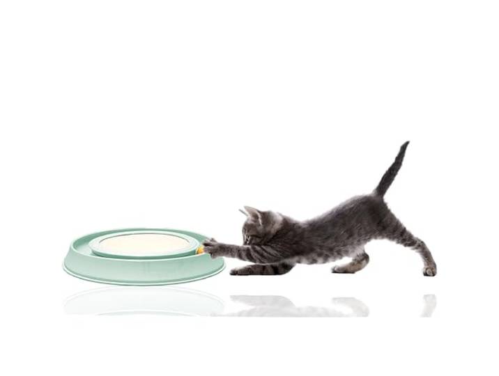 Silvio Design Intelligenzspielzeug Happy Cat, Grün