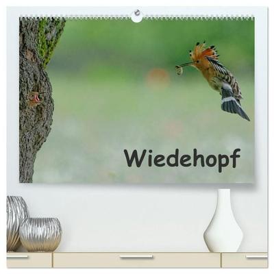 Wiedehopf (hochwertiger Premium Wandkalender 2027 DIN A2 quer), Kunstdruck in Hochglanz