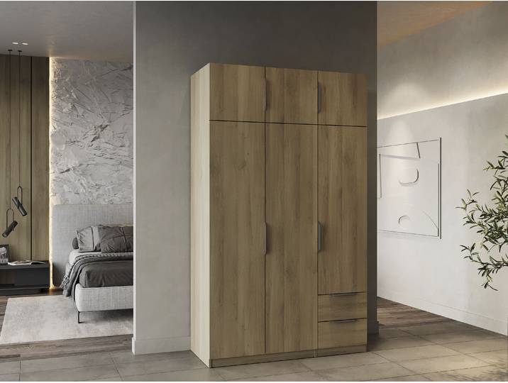 Drehtürenschrank, Spanplatte, Braun (Kronberg Eich), 119,4×203×49,6 cm, Mit Innenausstattung, Demeyere Group